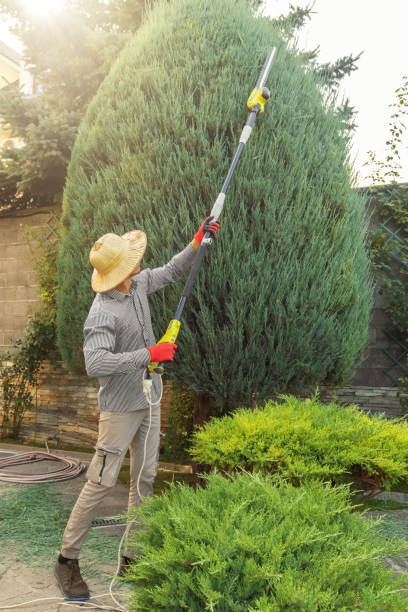 Lawn Maintenance Plans in Braidwood, IL